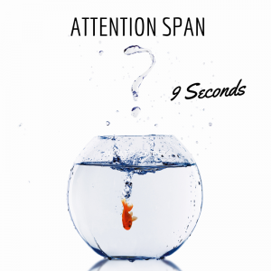 Attention span of a Gold Fish