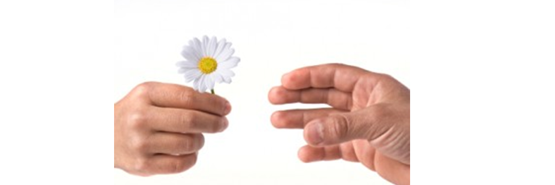 The Art of Giving ~ How to Cultivate Social Media Relationships