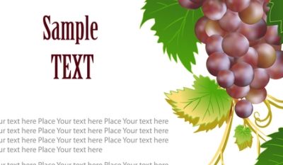 5 key factors for winery website success
