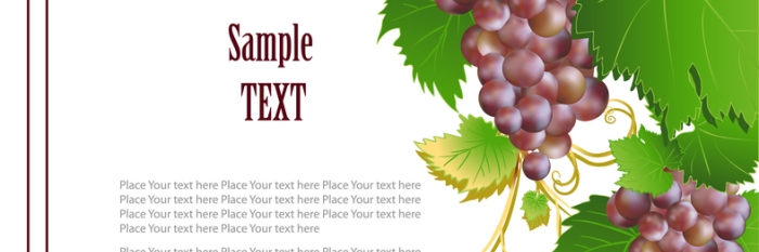 5 key factors for winery website success