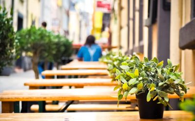 How Social Media Savvy Restaurants Increase Sales